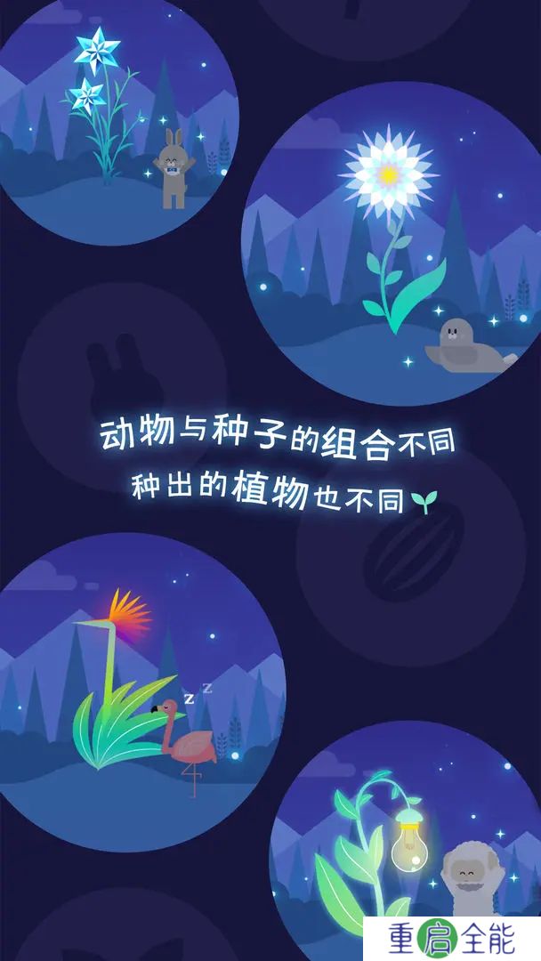 夜之森手机版