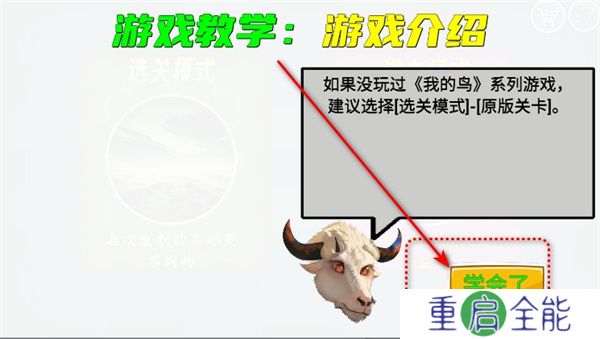 我的鸟随机版