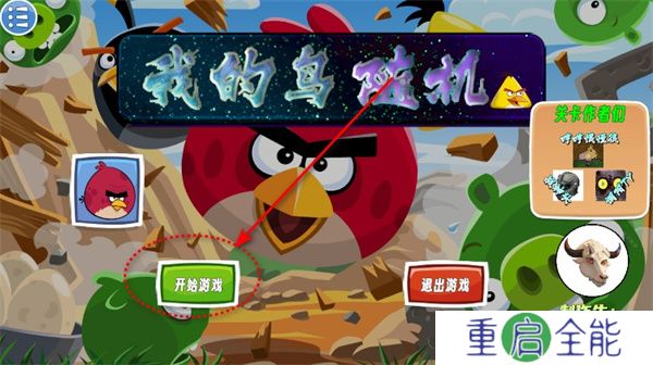 我的鸟随机版