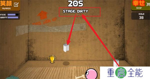 养只宠物球