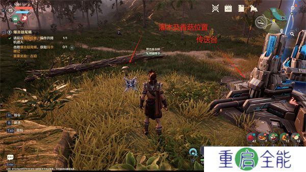 荒野起源游戏