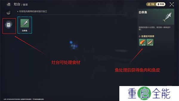 荒野起源游戏