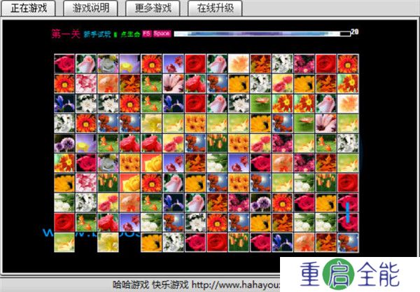 花花连连看